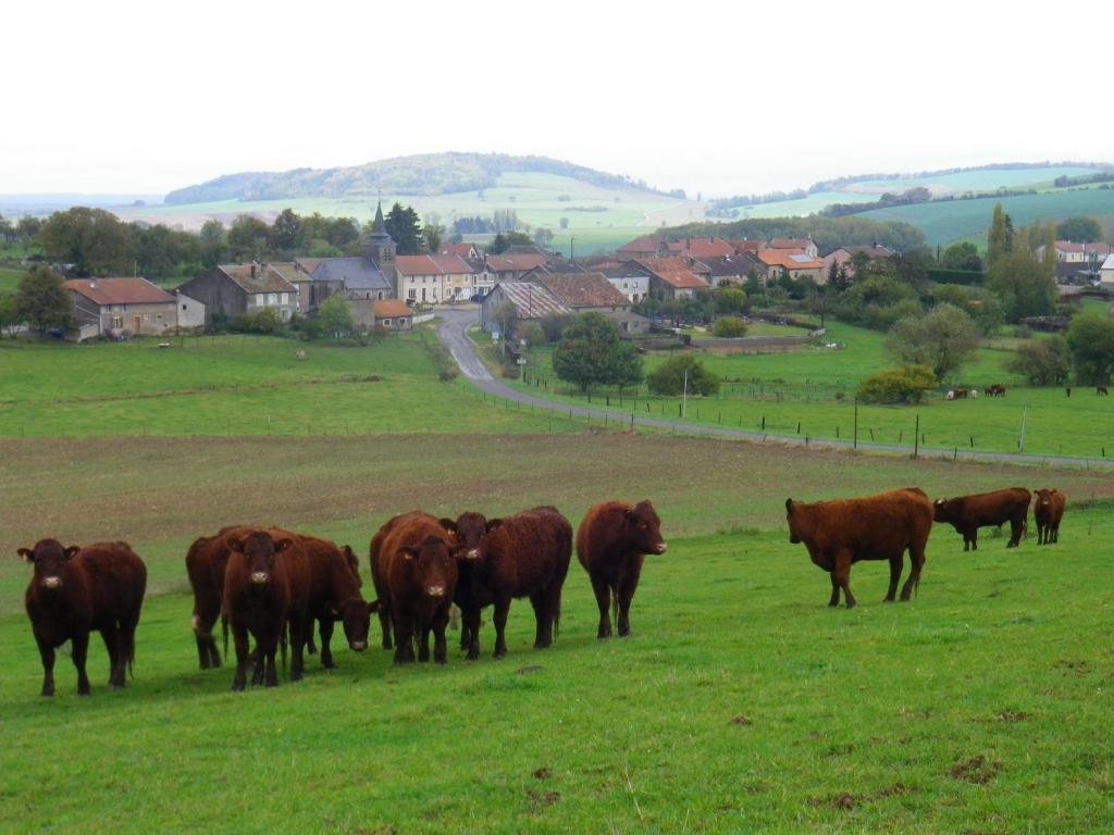 Chambre D'Hotes La Ferme Du Vallon Moirey Buitenkant foto